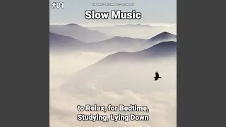 Mindfulness Audio