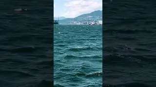 Floating Over Burrard Inlet | Coming in Wet to North Vancouver | #Seabus #Vlogging