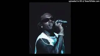 [FREE] Gunna x Young Thug Type Beat - 