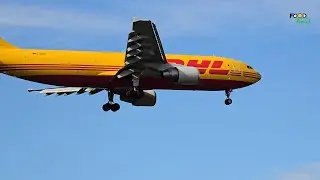 HEATHROW AIRPORT PLANE SPOTTING | RUNWAY 09L | 19/03/2025 #aviation