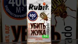 Прикол. Убить жука. #funny #kill #bug #салехард