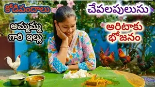 పండగకి అమ్మమ్మ ఇంటికి వచ్చాము 🪁  🐕 🐟 🌺 ☘️| enjoying village vibes 🥰