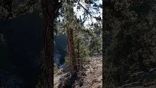 Calm Nature Meditation Short
