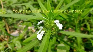 Youngs modulus uniform bending derivation in Tamil