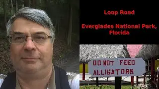 Lost in the Everglades: Loop Road's Hidden Dangers