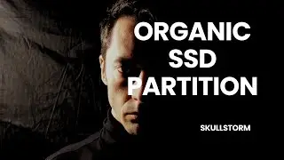 skullstorm - Organic SSD Partition