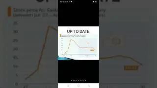 12 month action plan