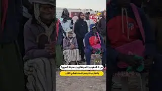 هكذا كانت فرحة المقيمين السينغاليين بمدينة الصويرة بتأهل منتخبهم لنصف نهائي الكان