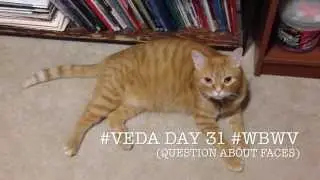 #VEDA Day 31: Question About Your Faces #WBWV