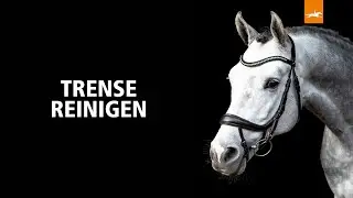 Trense reinigen DE