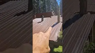 Post-Beam Log Cabin. Humble Beginnings