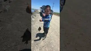 Kids fish I was on unhooking and baiting duty #fishing #youngangler #outcastfamily #bluegill #redear