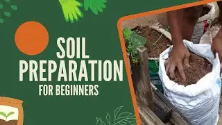 How To Get Soil And Prepare It For Planting