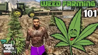 WEED FARMING 101 || GTA ROLEPLAY