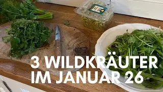 3 Wildkräuter im Januar 26