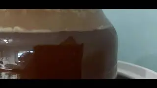 Kombucha bubbles