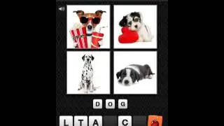Picture IQ Answers Level 1