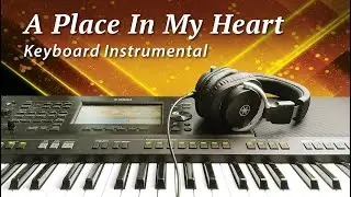 A Place In My Heart - Nana Mouskouri (Cover) Instrumental - Yamaha PSR-SX900 Keyboard