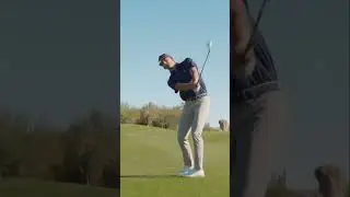 Miura Golf | Apprel
