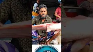 Pangas Fish Cutting ASMR | Traditional Fish Market Scene #wfc #shorts #fish_cutting_bd #asmr #howto