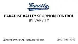 Paradise Valley Scorpion Control | Varsity Termite & Pest Control