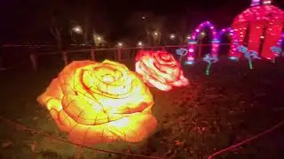 Yorkshire wildlife park, Christmas lights 2020