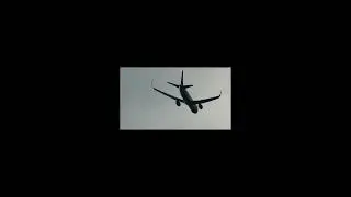 (4K) DELTA AIR LINES 767 ON FINAL FOR MCO #aviation #airplane #shorts
