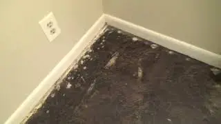 Process for Removing Black Tar Floor Mastic
