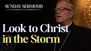 In the Storm, Look to Christ &ndash; Find Peace in Him | Bishop Barron&rsquo;s Sunday Sermon