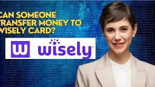 Can someone transfer money to wisely card?