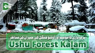 Ushu Forest Kalam Valley In Winter | Amazing Jungle | Kalam Snowfall | Beautiful Pakistan | Swat Kpk