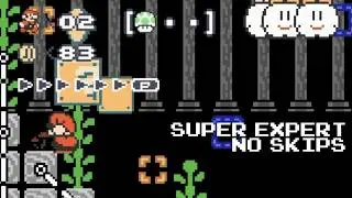 Super Expert No Skips: Breaking the Level for Some Clouds (Mario Maker 2, Switch 2)