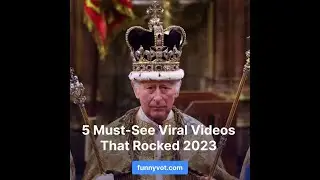 5 Must-See Viral Videos That Rocked 2023