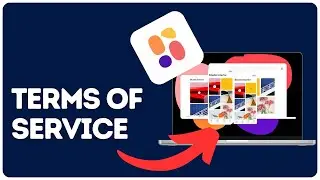 How to view terms of service on Collect by Wetransfer?