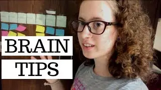 Brain Tips - How To Stay Organized With Sticky Notes!