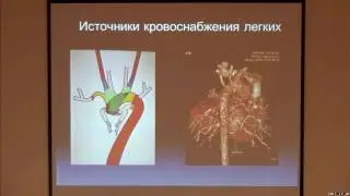 Эмбриология развития сердца. Анатомо - эмбриологические предикторы ВПС