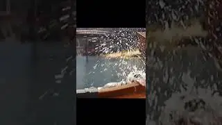 Black Panther 2 Wakanada Forever New HD Clip In Movie Leaked Footage