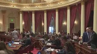 &lsquo;No Kings Act&rsquo; passes California Senate, heads to Assembly