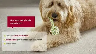 Redbook Green - Pet Friendly Carpet - Red List Free