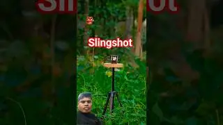 DIY unique bamboo slingshot with one tea cup 👺#shorts #woodworking #bambooblade #shortvideo