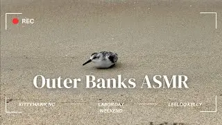 Outer Banks ASMR, OBX, Kitty Hawk, North Carolina, Beach ASMR, The Real Outer Banks