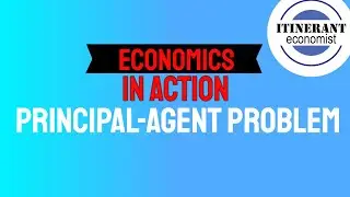 Economics in action - Principal Agent problem