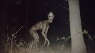 Skinwalker and Wendigo Sightings Reported by Witnesses