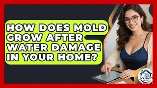 How Does Mold Grow After Water Damage In Your Home? - Your Home Insurance Guide