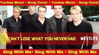 Can't Lose What You Never Had by Westlife | Cover