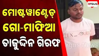 🔴Big Breaking Live | ମୋଷ୍ଟୱାଣ୍ଟେଡ୍ ଗୋ-ମାଫିଆ ଗିରଫ | Most Wanted Go Mafia Arrested | Argus News