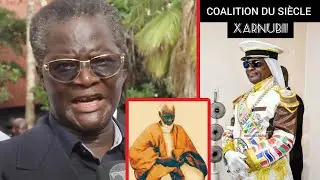 Lancement de la coalition du Siècle :MisBakh Kara Fall tombe en transe et fond en larme