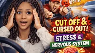 I Got Cut Off and Cursed Out While Driving | Stress and the Nervous System