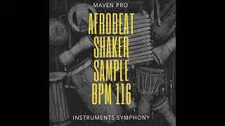 Afrobeat shaker sample 116 bpm