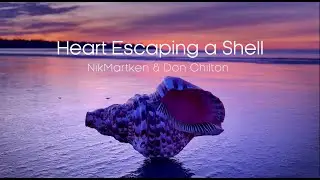Heart Escaping a Shell (Official Video) - NikMartken and Don Chilton